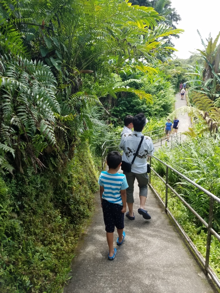 f:id:goutaro:20170824115717j:plain f:id:goutaro:20170824115717j:plain