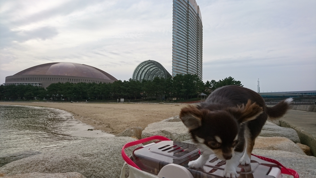f:id:goutaro:20170903213920j:plain f:id:goutaro:20170903213920j:plain