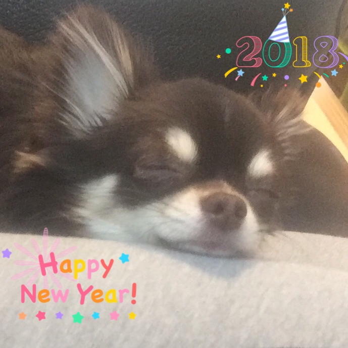 f:id:goutaro:20180201160852j:plain f:id:goutaro:20180201160852j:plain
