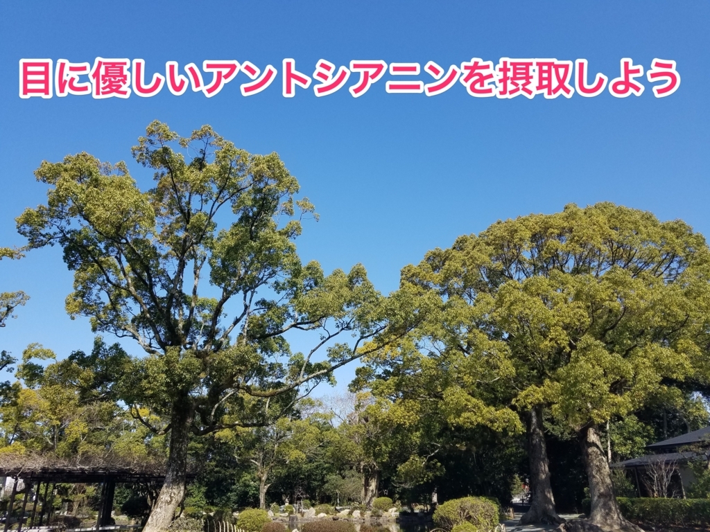 f:id:goutaro:20180321020630j:plain f:id:goutaro:20180321020630j:plain