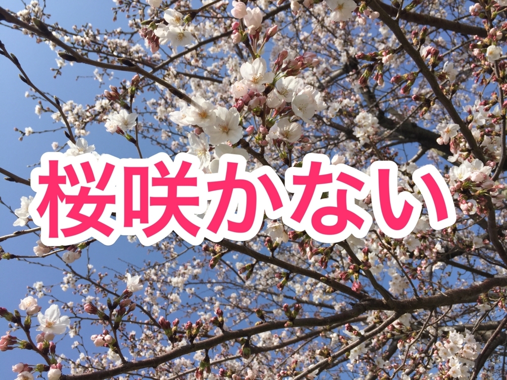 f:id:goutaro:20180401084848j:plain f:id:goutaro:20180401084848j:plain