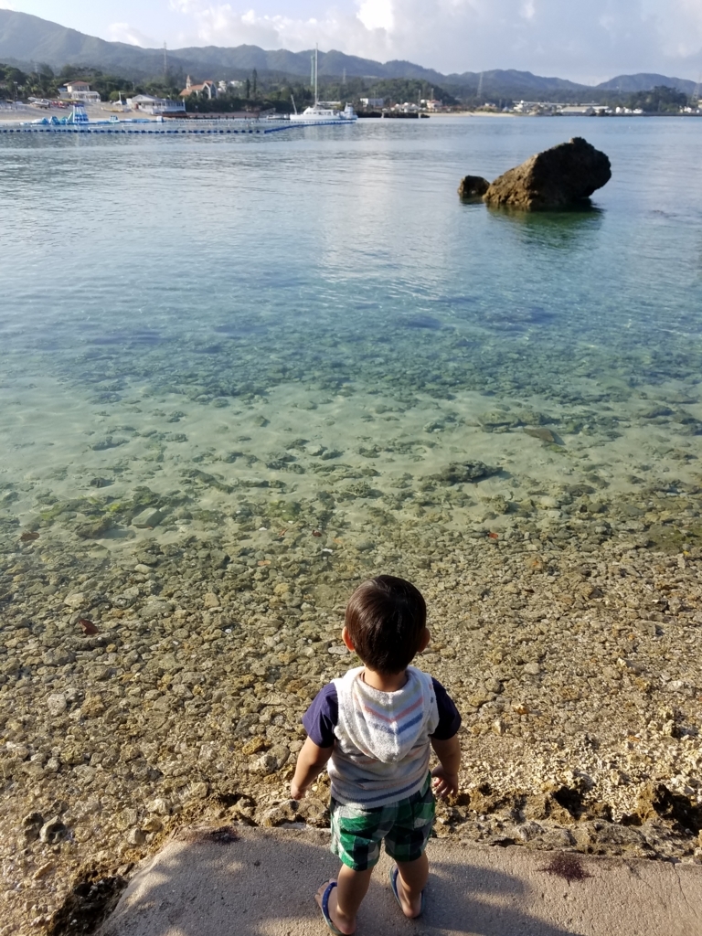 f:id:goutaro:20180416235520j:plain f:id:goutaro:20180416235520j:plain