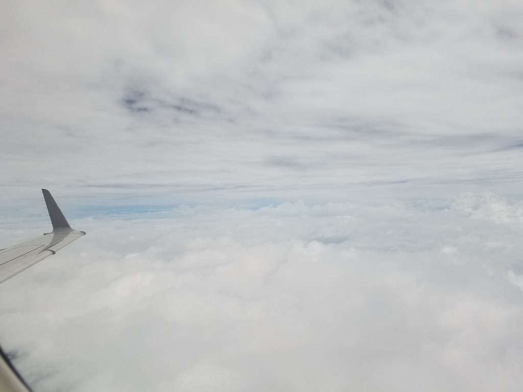 f:id:goutaro:20180611052441j:plain f:id:goutaro:20180611052441j:plain
