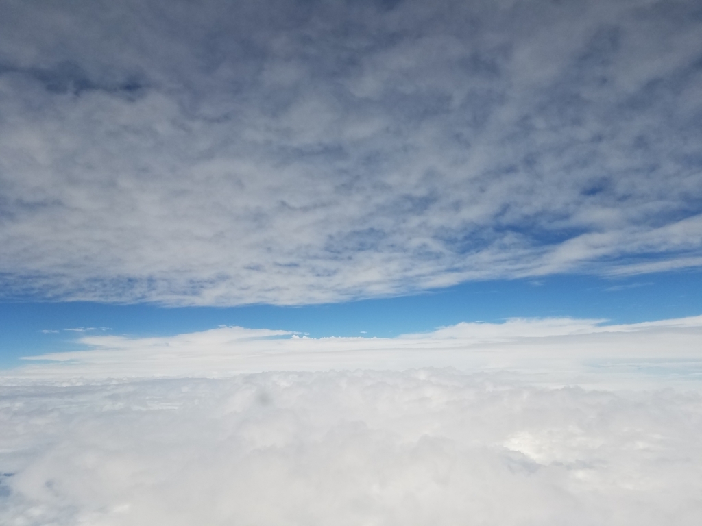 f:id:goutaro:20180611061406j:plain f:id:goutaro:20180611061406j:plain