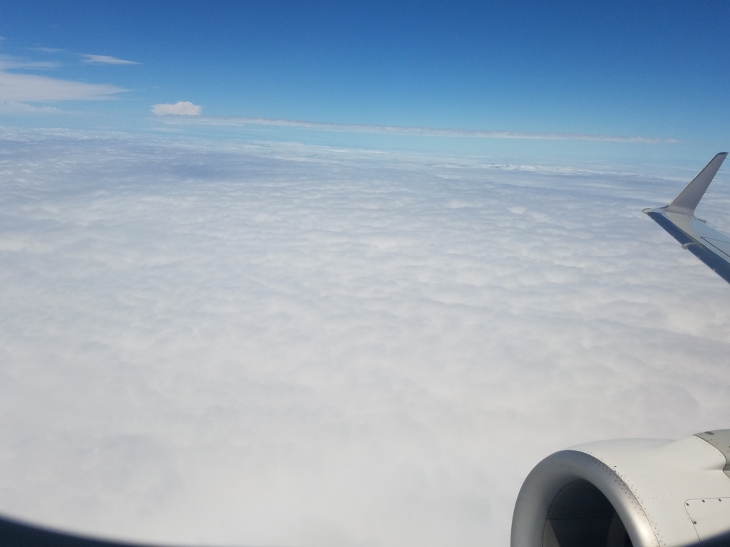 f:id:goutaro:20180708211851j:plain f:id:goutaro:20180708211851j:plain